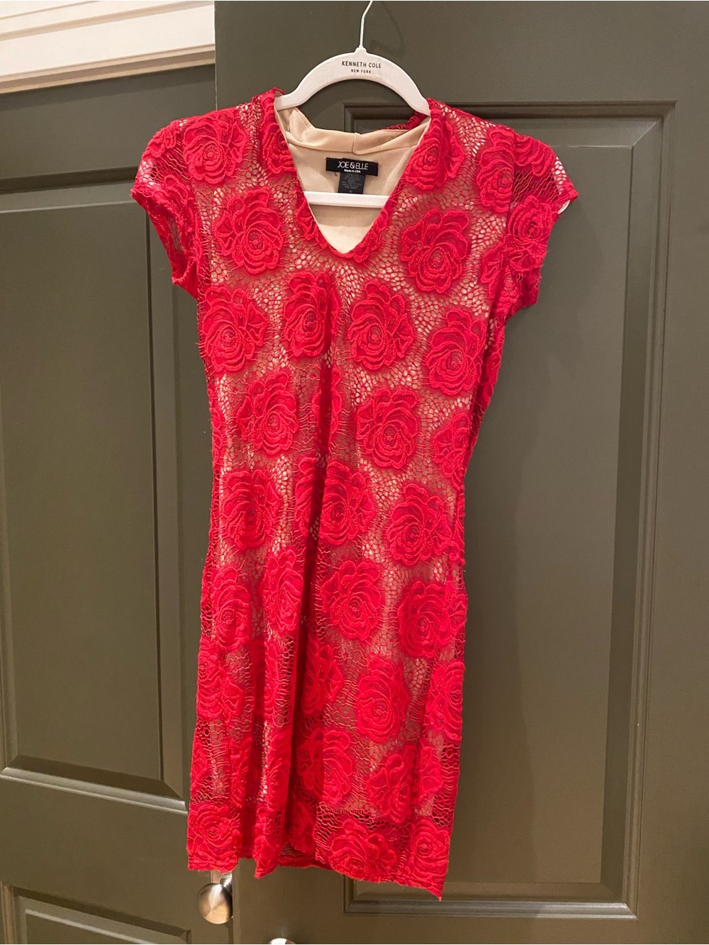 Joe & Elle Red Floral Lace Mini Dress